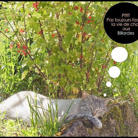 Les Billardes - Le Gite - Jura Gizia Ngoại thất bức ảnh